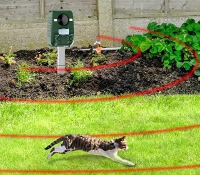 Katzen Vertreiben Abwehr Tierabwehr 5 Einstellbare Ultraschall Stärken Solar katzenschreck für Garten Sylanda Katzenschreck Ultraschall Katzenschreck Marderschreck Hundeschreck Vogelschreck